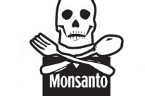 Picture for Genetically Modified Foods Cause Cancer!